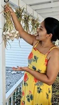 Grow Garlic from Bulb – Complete Step-by-Step Guide
