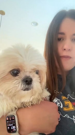6.4K views · 458 reactions | Friday breakfast with Stella #friday #dog #shihtzu #dogsoftiktok #episode | Thatdogstella | Facebook