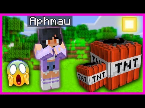 Aphmau Vs Dream The Best Minecraft Roleplayer Falls For a TRAP! 😱