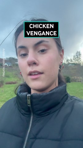 Chicken Revenge! Bird Chases Woman After Cooking Joke