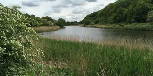 Vale Royal Locks virtual walk