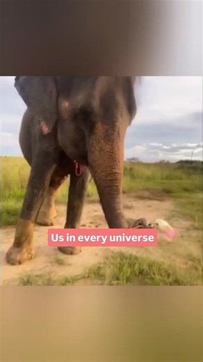 No one Literally no one Filtercopy and You 👉👈 #FCReels | FilterCopy