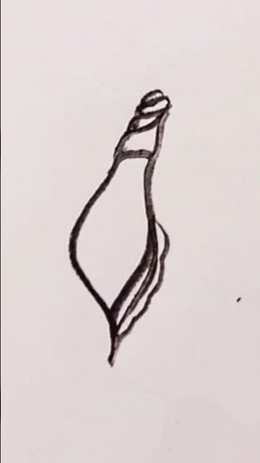 How to draw a seashell step by step with easy fast way