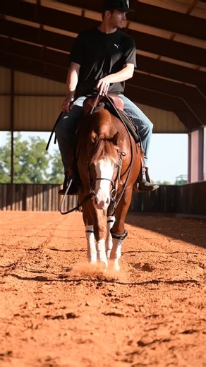 Grind → Greatness #reiningtrainer #reiningonsliders #wearyourbh #reiningshow #reining #quarterhorse #quarterhorse #nrhareining #unbranded #estivalreininghorses #fypシ゚ #fypシ #formula1equine #bobssaddlery #snaffle #2yearsold | Estival reining horses