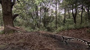 Journey to the West (Kera Sakti) - Season - Episode 40