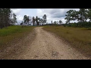 Xiaomi Redmi 9C | Camera Recording Test Sample. Full HD 1080p