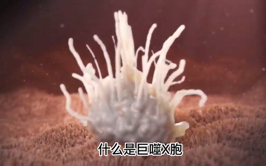 什么是巨噬细胞