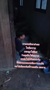 ชีวิตจริงของคนตัดไม้ในหมู่บ้าน