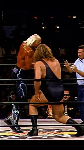 The Giant vs. Hollywood Hogan _ WCW Title Match_ Hog Wild 1996