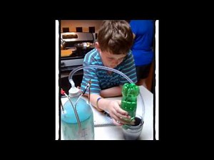 Simons 4th Grade Science Fair Project