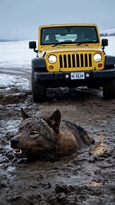 Simulated Reality on Reels