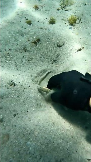 Hidden Treasure Found While Diving!