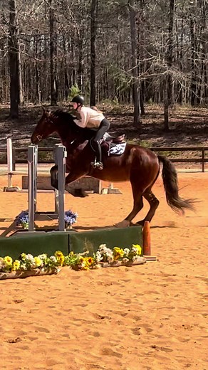 this year has been SO incredibly hard on me but it’s also changed me in so many ways. i finally left the toxic barn i had been stuck at for years and came to this barn which has helped me in so many ways. i truly cannot thank my parents and my trainer enough for everything they’ve given me this year. never ever did i think i would be able to show FOUR times in one year. it doesn’t seem like a lot to most but until now i rarely showed once a year and when i did it was such a huge opportunity. i s