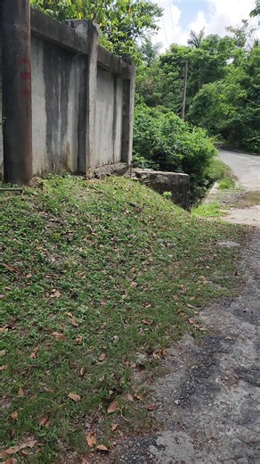 Teamland garden Jamaica land for 500k – rustic villa tour