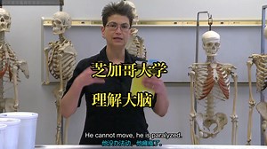 芝加哥大学|理解大脑:日常生活中的神经生物学Understanding the Brain: The Neurobiology of Everyday Life