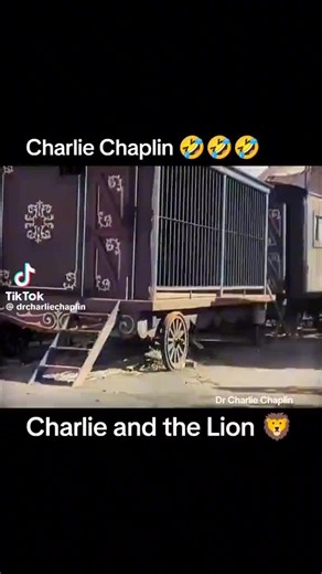 #charlie and lion king of commedy&@&