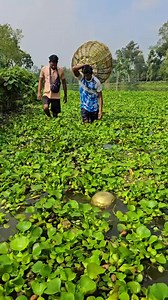 8.2K views · 28 reactions | Seeing objects floating in the water | Village Fun 13 | Facebook