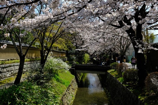 Panagiotis Andriotis | Sharing my experience and advice as a JSPS Fellow