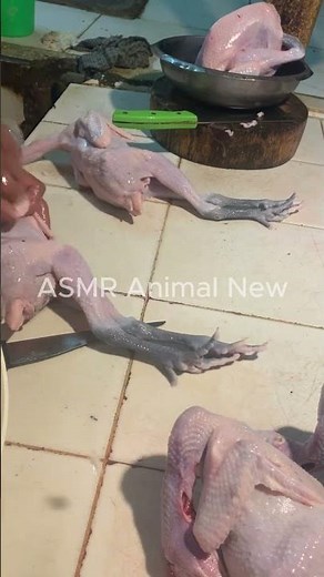 Step by Step: Cleaning Chicken the Easy Way Part 2