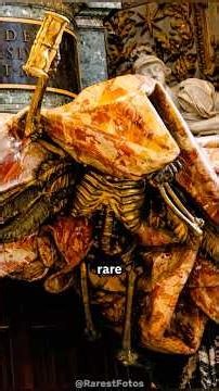 Rare Photos you should see 😱