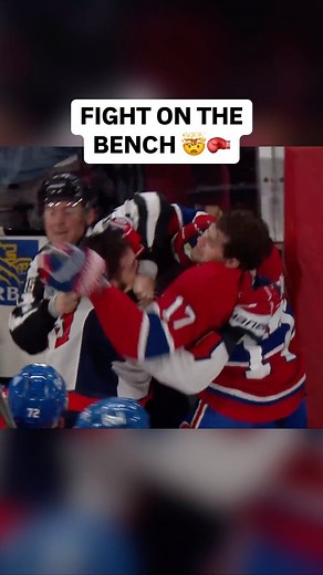 Gino Hard | All hell breaks loose in Montreal as Tom Wilson and Josh Anderson FIGHT ON THE BENCH 🤯🥊 #habs #brawl | Instagram