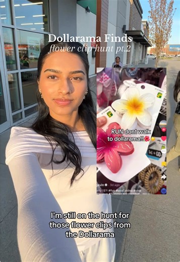 Dollarama Finds: Part 2 of the Ultimate Shopping Haul