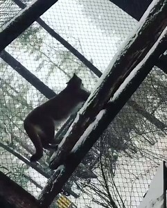 3.3K views · 67 reactions | DEW Haven on Reels | Facebook