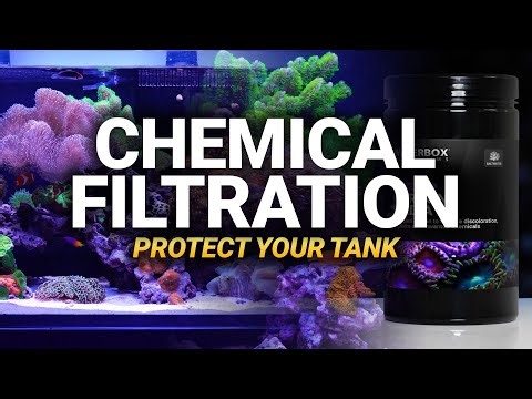 Chemical Filtration Explained: The Hidden Protection Your Aquarium Needs