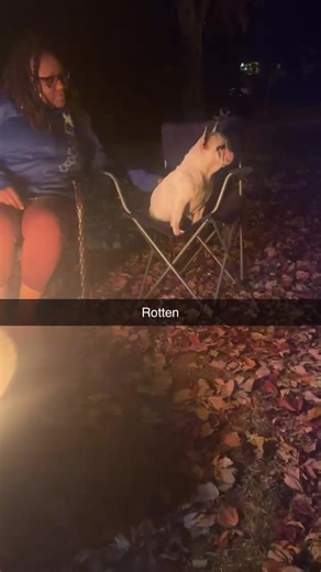 Ashley Robinson on Reels