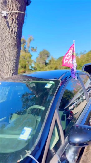 🚗 2017 Ford Fiesta – Reliable, Stylish & Affordable! 🚗 Looking for a gas-saver that’s fun to drive and easy to own? Come check out this 2017 Ford Fiesta with only 83,000 miles! 🎉 ✅ Buy Here, Pay Here – Everyone Rides! ✅ Easy Financing – No Credit, Bad Credit, No Problem! ✅ Clean inside and out – Runs and drives great! ✅ Perfect for daily commuting or a first-time buyer! 💵 Low down payments & flexible weekly options! 📍 MVP AUTODEALER – 1839 W US Hwy 90, Lake City, FL 32055 📞 Call or Text: (