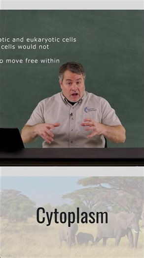 Cytoplasm | Homeschool Life Science