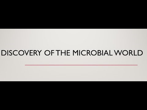 Discovery and Scope of Microbial World