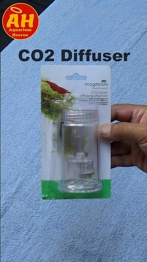 Aquarium CO2 Diffuser Fix #shorts #co2 #aquarium