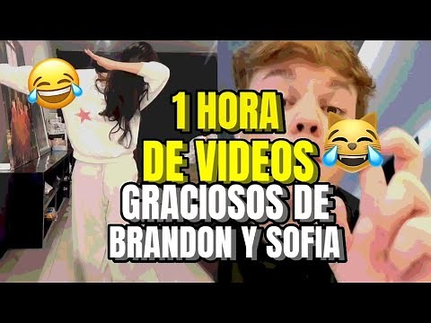 1 HORA DE VIDEOS GRACIOSOS DE SOFIA Y BRANDON VELA😹
