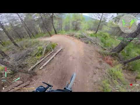 Alicante - La Fenasosa - Talgo