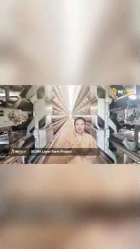 Kenya 33,000 Layer Farm | Fully Automatic H-Type Layer Cage System - RETECH Farming #poultryfarm