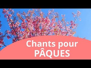 25min de chants et louanges chrétiennes pour fêter Pâques 🎀