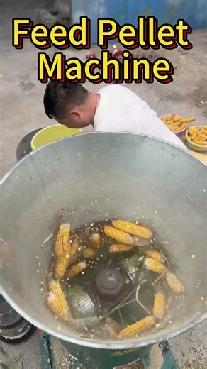 Feed Pellet Machine | Turn Corn into High-Quality Feed Pellets Fast#feedpelletmachine #agriculture