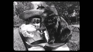 File:La Petite fille et son chat - Film 1900.webm - Wikimedia Commons