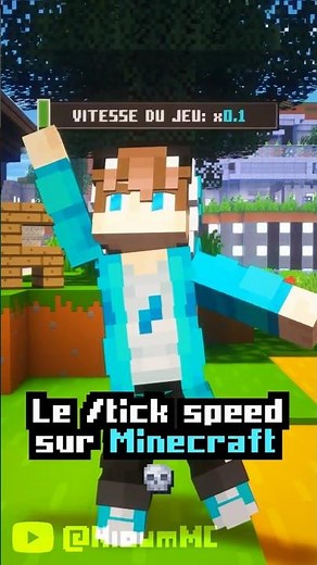 RALENTIR le Jeu sur Minecraft