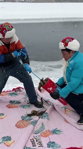 Unbelievable Ice Fishing Harvest! Huge Catch in -20°C Winter 🐟❄️​#IceFishing #WinterFishing #fishing