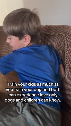 The most important key to malinois and kids being besties is making su | Life with Belgian Malinois