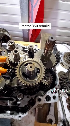 Yamaha Raptor 350 Engine Rebuild: Top & Bottom End