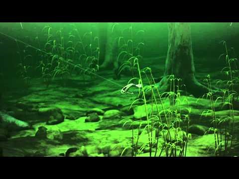 Fishing Tip - Sebile Snagless Flatt Shad S10E07