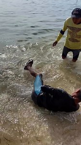 1M views · 4.3K reactions | Amazing giant octopus #fblifestyle | Jocil tv | Facebook