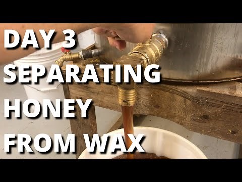 DAY 3 Separating honey from wax