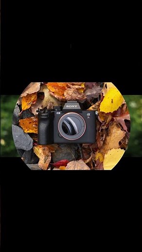 "Top 5 Best Cameras of 2025: Capture Every Moment in Style!"