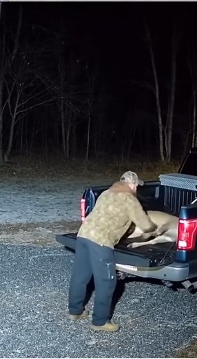 727K views · 1.2K reactions | Hunter becomes hunted #hunter #fblifestyle | Sharon Zee | Facebook