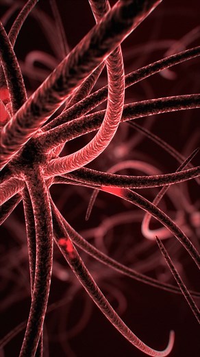 Cholinergic Neurons Part 1 In this video, sir has explained neurons and the various functions of cholinergic neurons. This is part 1 of this video. For the complete series, follow us now. #Cholinergic #Neurons #cholinergicneurons #neuron #psychologytopic #topicpsychology #part1 #neuronspsychology #psychology #psychologist #upseducation #arvindotta | UPS Education