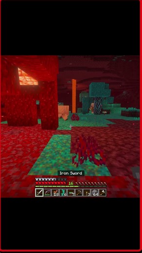 ALWAYS have a warped fungus handy when in The Nether. 😏